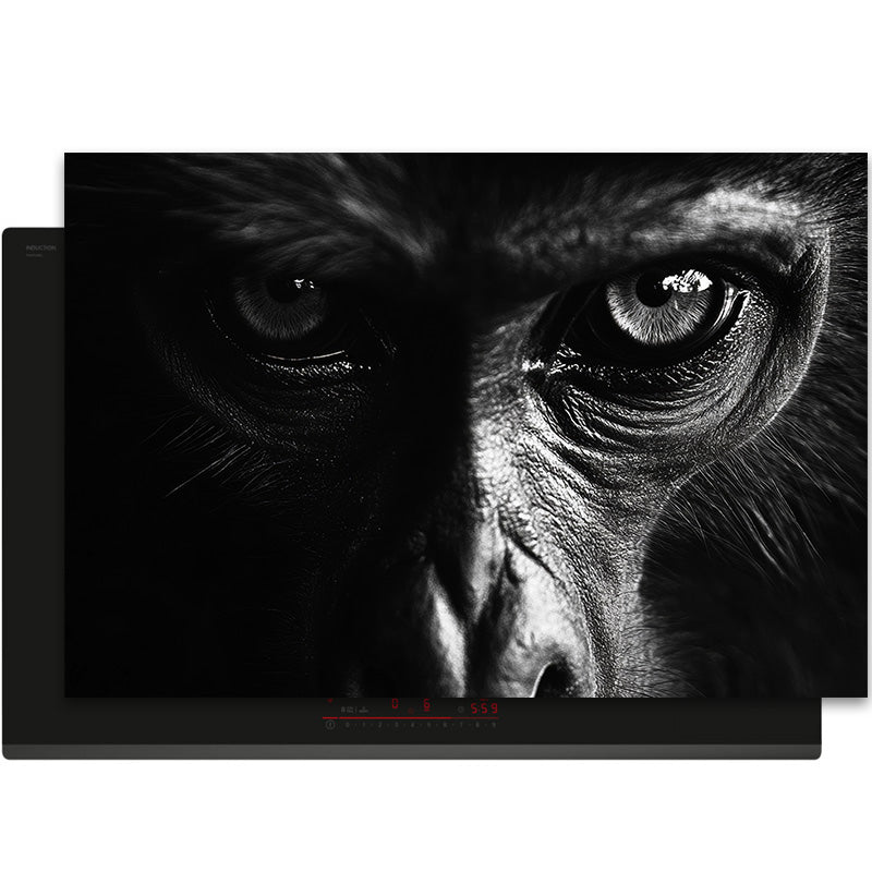 Herdabdeckplatte - Tiere Schwarz-Weiß - Close - up Gorilla